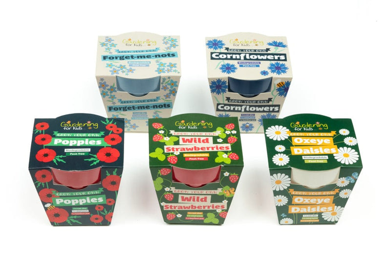 Gardening for Kids Poppies Wildflower Growing Kit with Pot