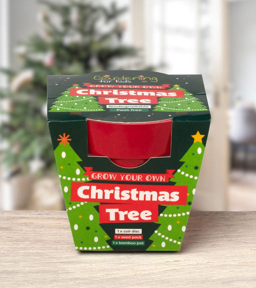 Gardening for Kids Red Christmas Tree Growing Kit with Pot