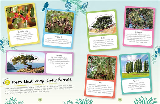 Bookspeed RHS Ultimate Sticker Book Trees and Leaves