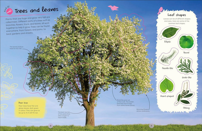Bookspeed RHS Ultimate Sticker Book Trees and Leaves