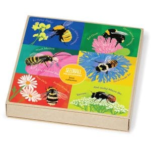 Seedball Seedballs - Bees Collection matchboxes
