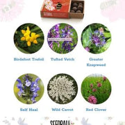 Seedball Seedballs - Bees Collection matchboxes