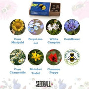 Seedball Seedballs - Bees Collection matchboxes