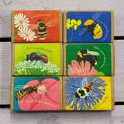 Seedball Seedballs - Bees Collection matchboxes
