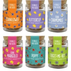 Gardening for Kids Seedballs Wildflower Jars
