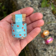 Gardening for Kids Seedballs Wildflower Jars