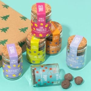 Gardening for Kids Seedballs Wildflower Jars