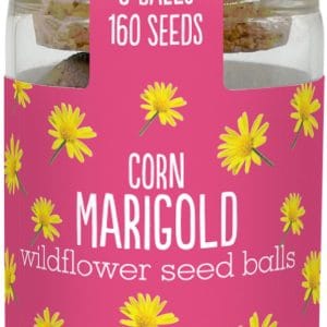 Gardening for Kids Seedballs Wildflower Jars