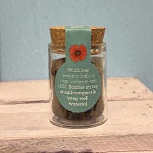 Gardening for Kids Seedballs Wildflower Jars