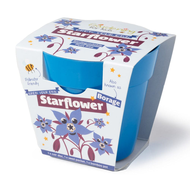 Gardening for Kids Starflower Borage Growing Kit with Pot