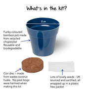 Gardening for Kids Starflower Borage Growing Kit with Pot