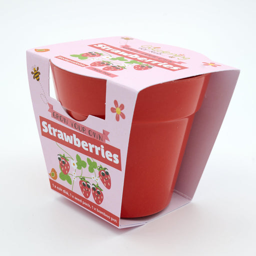 Gardening for Kids Strawberries Growing Kit with Pot