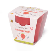 Gardening for Kids Strawberries Growing Kit with Pot