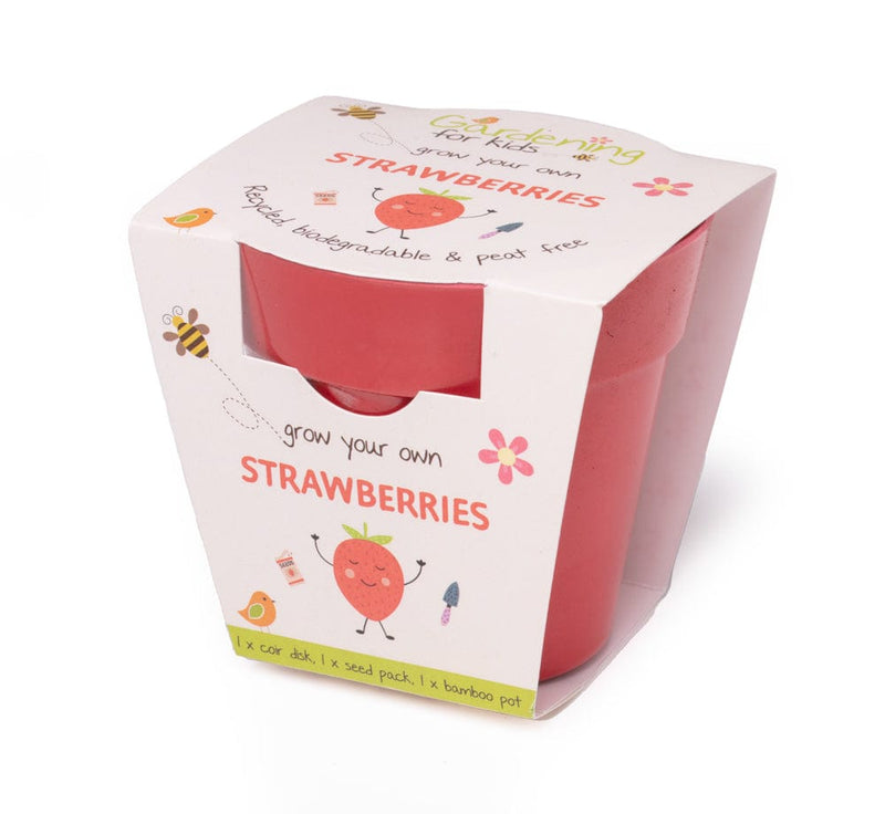 Gardening for Kids Strawberries Growing Kit with Pot