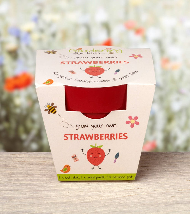 Gardening for Kids Strawberries Growing Kit with Pot