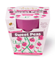 Gardening for Kids Sweet Pea Growing Kit with Pot
