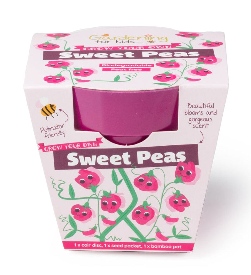 Gardening for Kids Sweet Pea Growing Kit with Pot