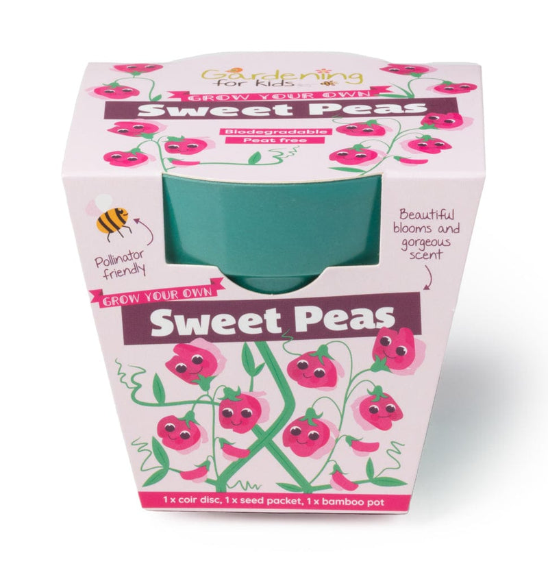 Gardening for Kids Sweet Pea Growing Kit with Pot