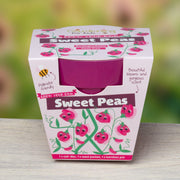 Gardening for Kids Sweet Pea Growing Kit with Pot