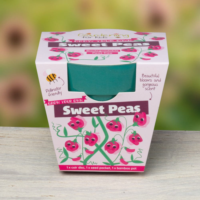 Gardening for Kids Sweet Pea Growing Kit with Pot