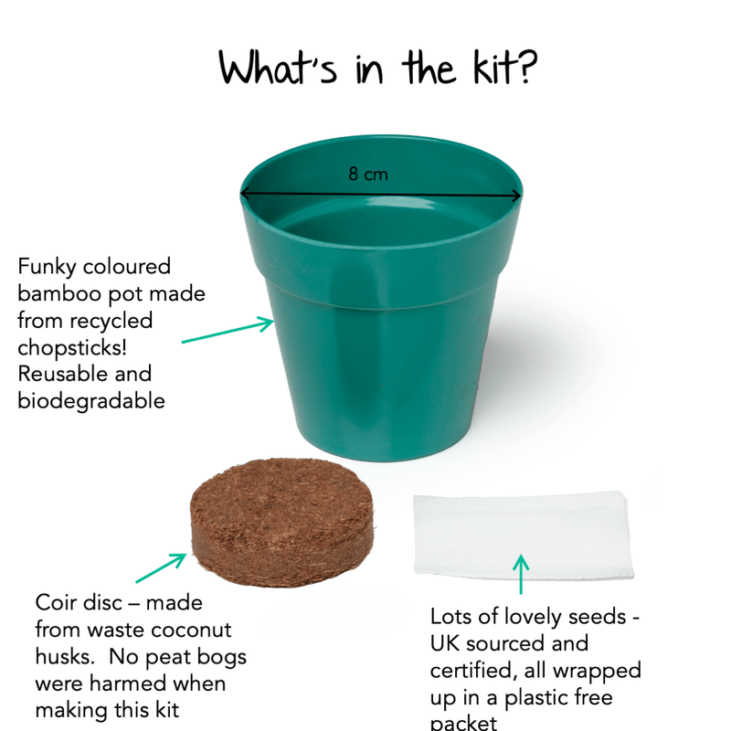 Gardening for Kids Sweet Pea Growing Kit with Pot