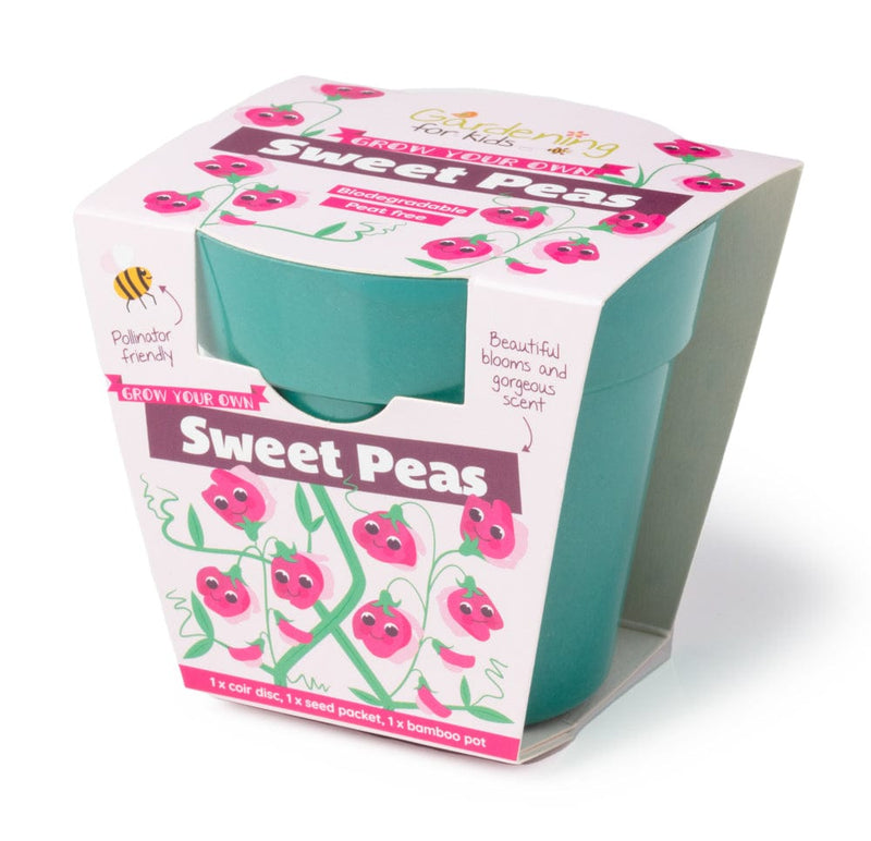 Gardening for Kids Teal Sweet Pea Growing Kit with Pot