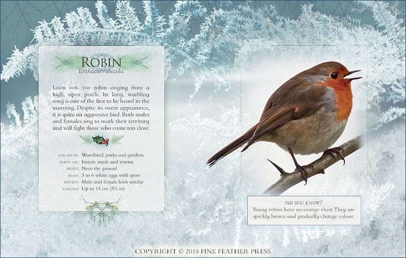 Grantham Book Services The Little Book of Garden Bird Songs Children's Sound Nature Book