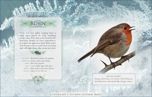 Grantham Book Services The Little Book of Garden Bird Songs Children's Sound Nature Book