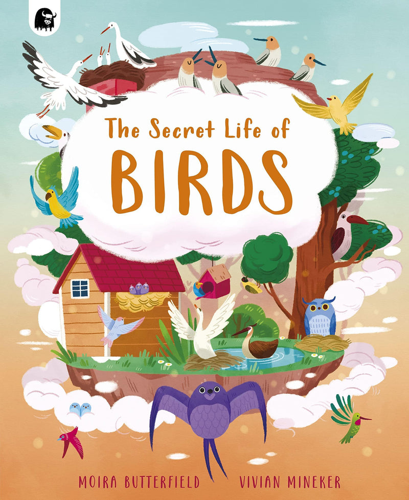 House of Marbles The Secret Life of Birds Children's Nature Book