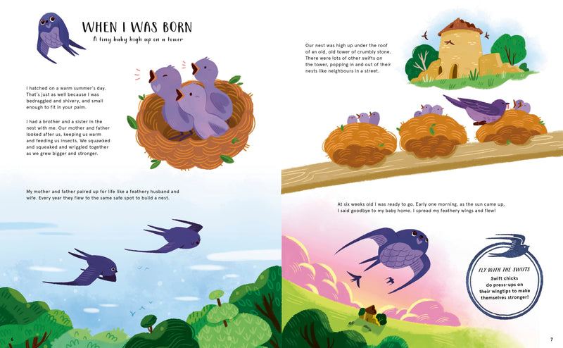 House of Marbles The Secret Life of Birds Children's Nature Book