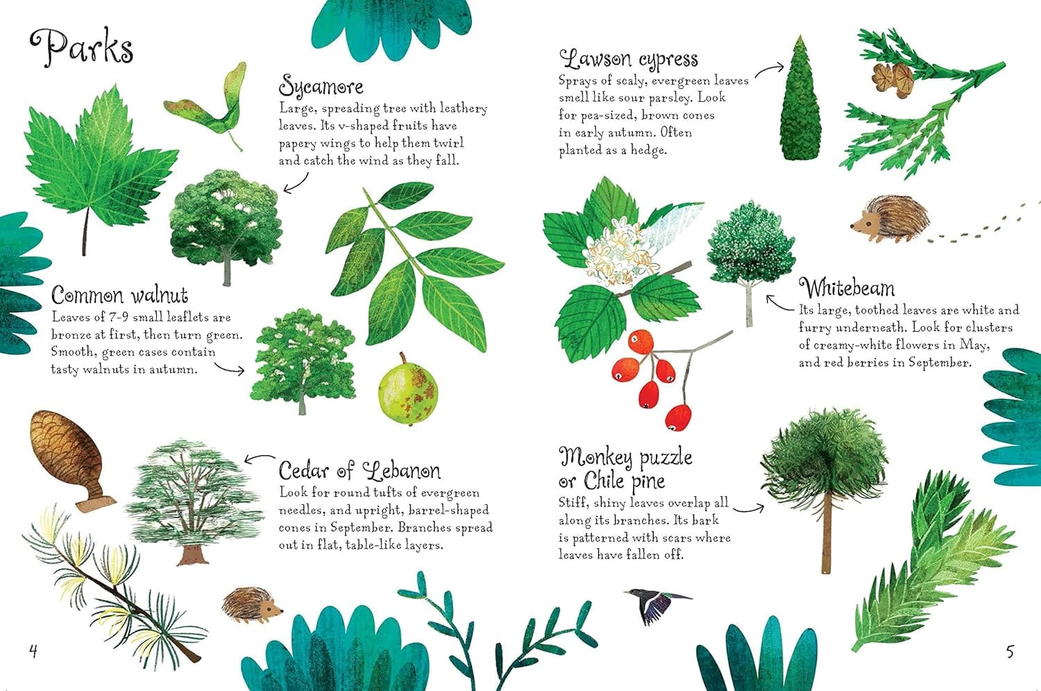 Trees to Spot - Usborne Mini Book Children's Nature Book — Gardening ...