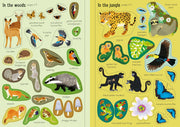 Bookspeed Usborne Little First Stickers Nature Book