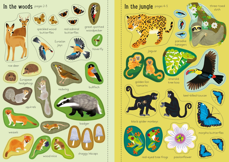 Bookspeed Usborne Little First Stickers Nature Book