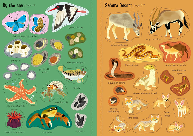 Bookspeed Usborne Little First Stickers Nature Book