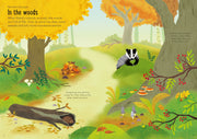 Bookspeed Usborne Little First Stickers Nature Book