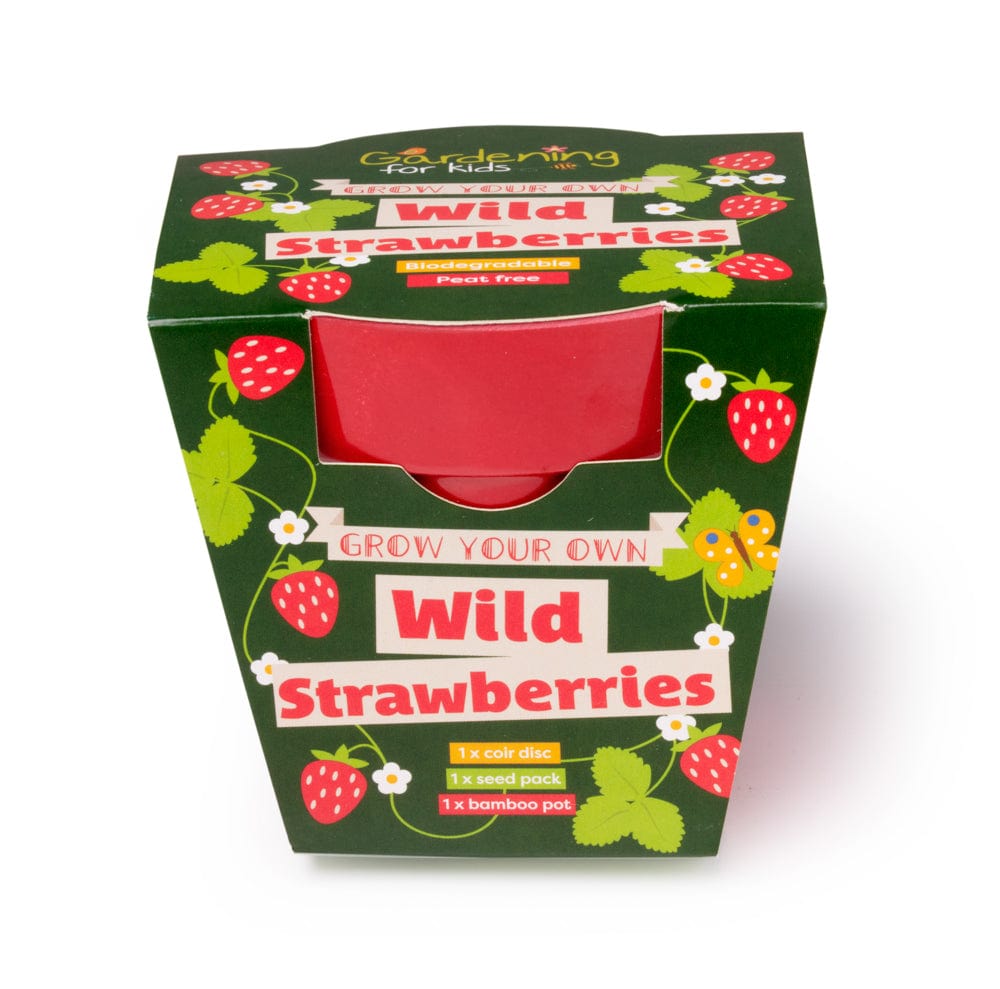 Wild Alpine Strawberry Wildflower Growing Kit with Pot — Gardening