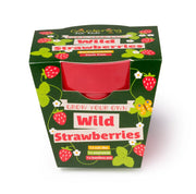 Gardening for Kids Wild Alpine Strawberry Wildflower Growing Kit with Pot