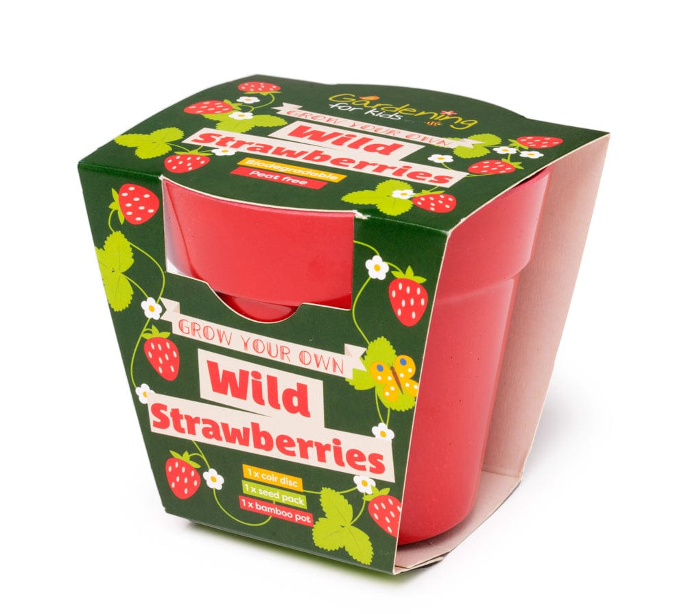 Wild Alpine Strawberry Wildflower Growing Kit with Pot — Gardening