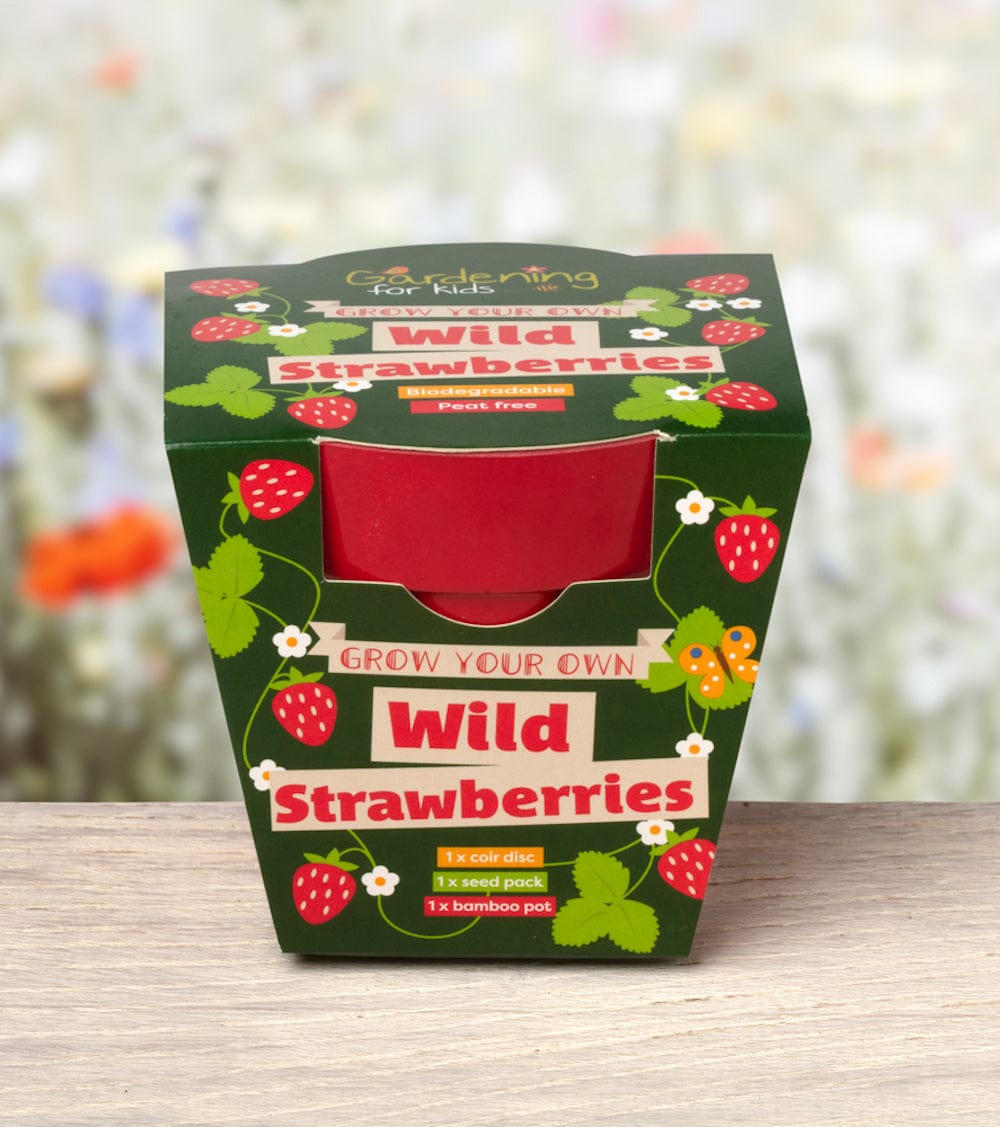  WILD STRAWBERRY 4点セット♡ Wild Alpine Strawberry Wildflower Growing Kit with Pot — Gardening