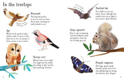 House of Marbles Woodland Life to Spot - Usborne Children's Mini Guides Nature book