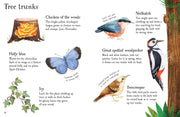 House of Marbles Woodland Life to Spot - Usborne Children's Mini Guides Nature book