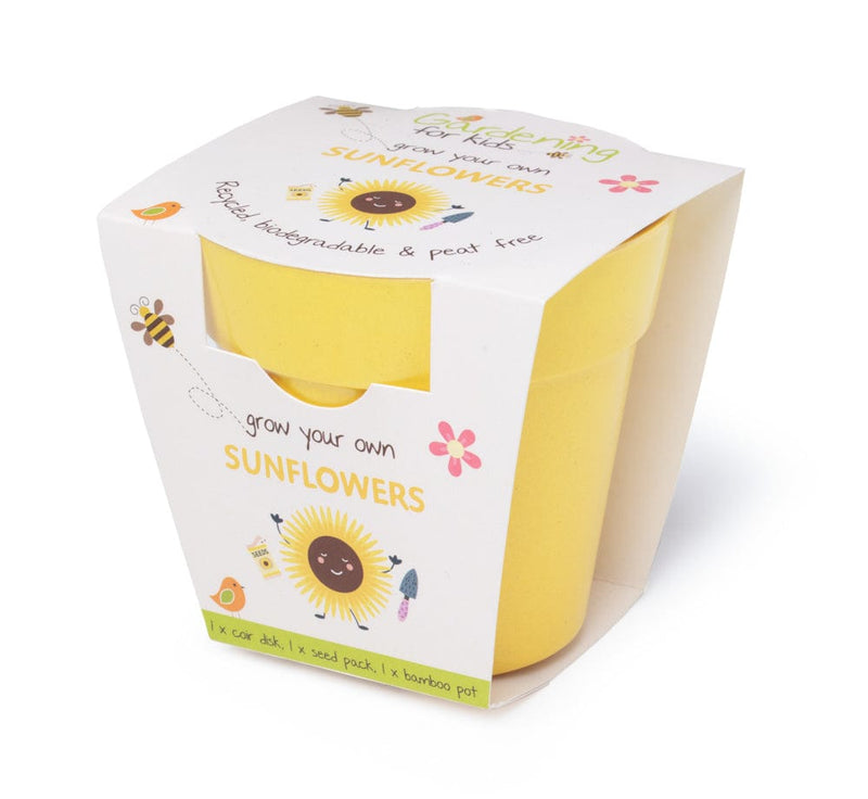 Gardening for Kids Yellow Sunflower Growing Kit with Pot