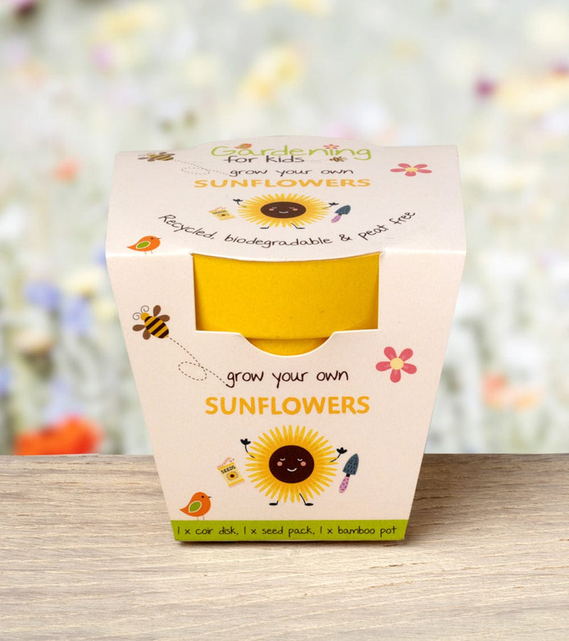 Gardening for Kids Yellow Sunflower Growing Kit with Pot