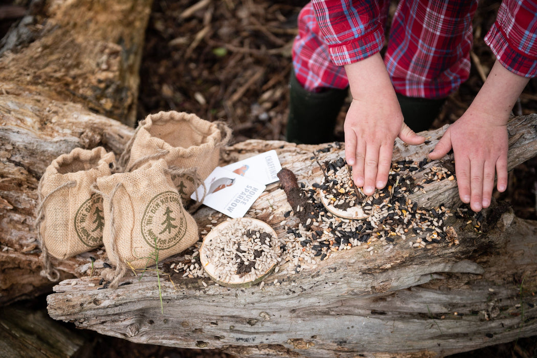 Make a Pizza for the Birds Kit