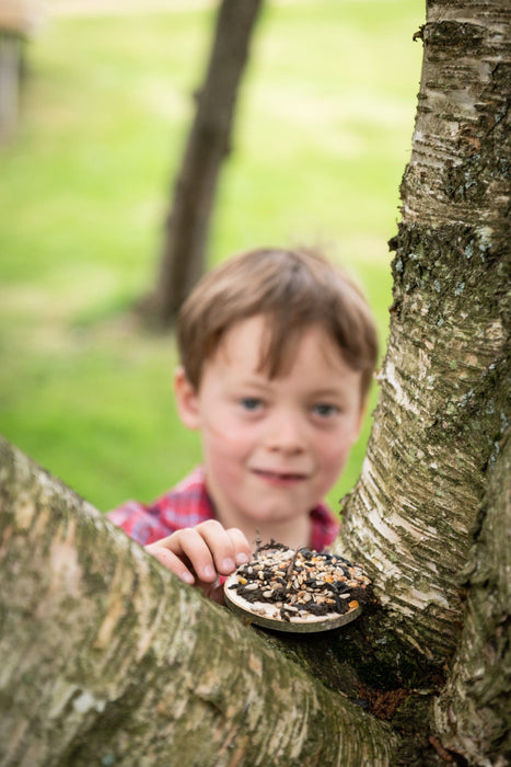 Make a Pizza for the Birds Kit