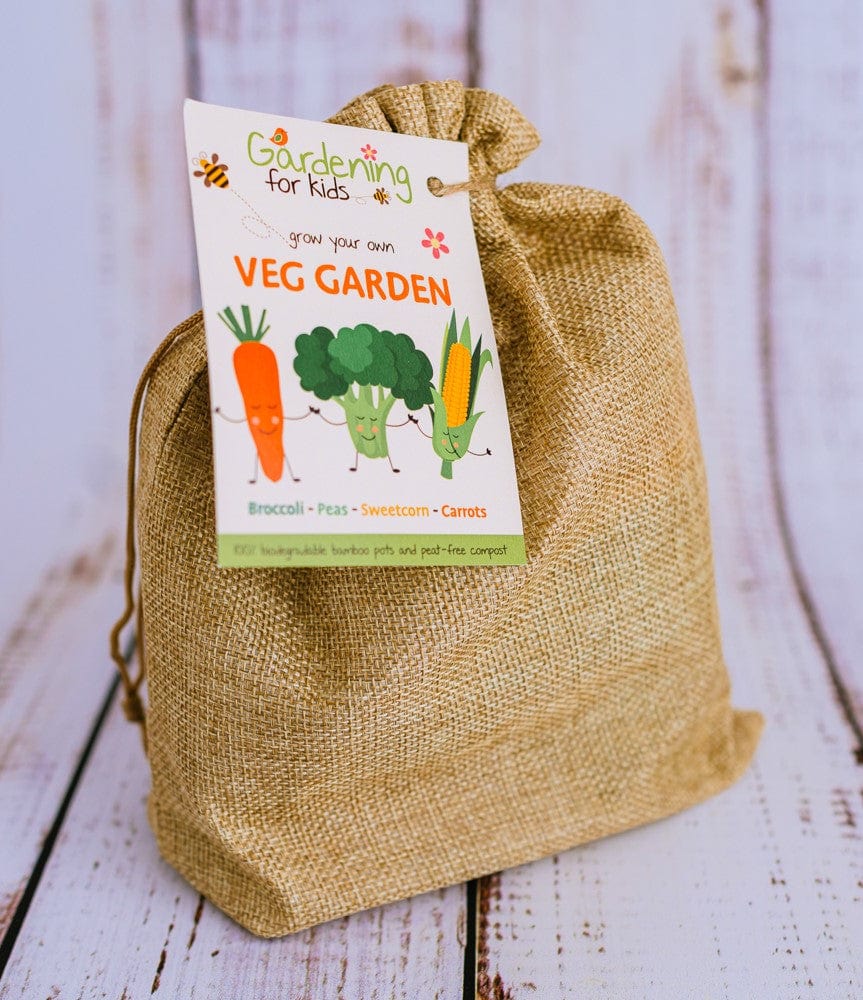 Vegetable Garden Growing Kit — Gardening for Kids