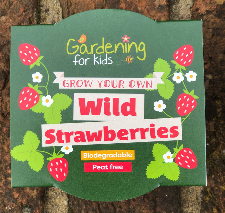 Wild Alpine Strawberry Wildflower Growing Kit with Pot