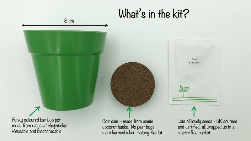 Gardening for Kids Basil Growing Kit with Pot