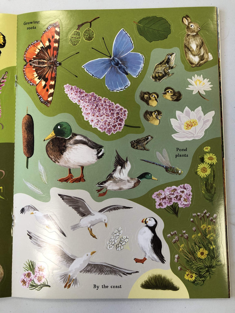 Grantham Book Services Birch Trees, Bluebells and other British Plants