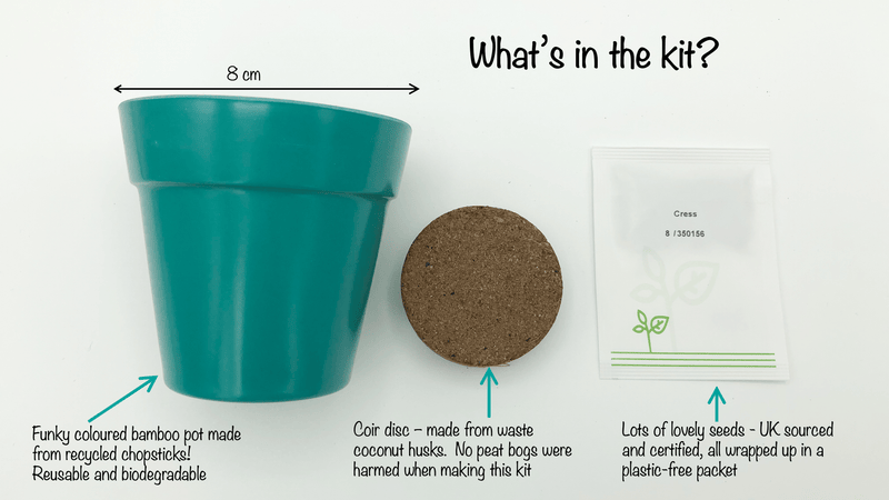 Gardening for Kids Blue Cress Growing Kit with Pot